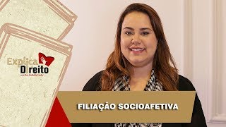 Explica Direito Filiação Socioafetiva  2019 [upl. by Sall735]